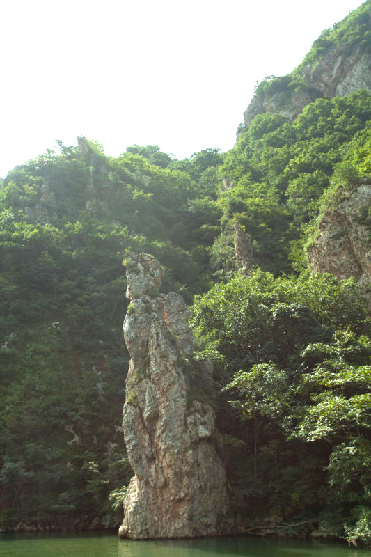 骆驼饮水.jpg